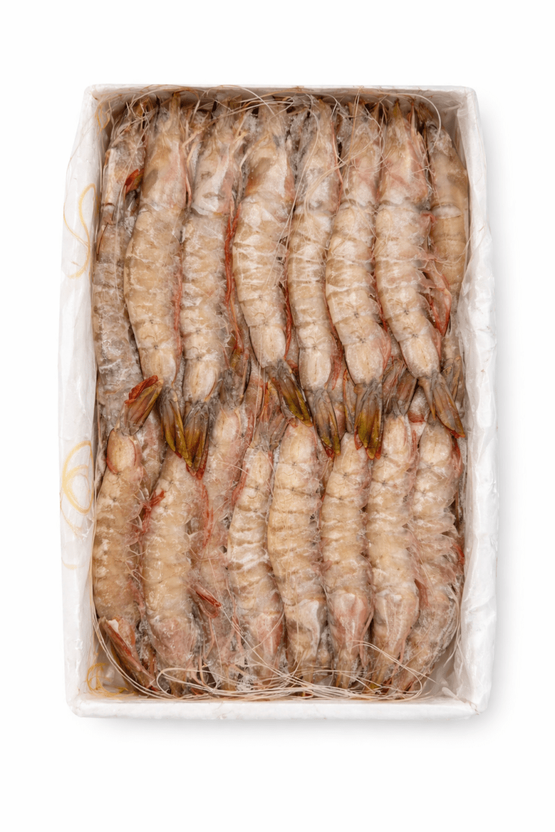 Prawns S2 - Mombasa Fish Market