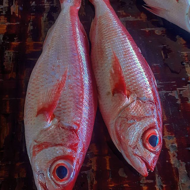 Red Snapper - Mombasa Fish Market