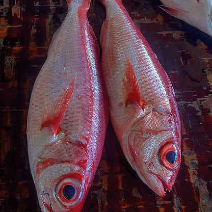 Red Snapper - Mombasa Fish Market