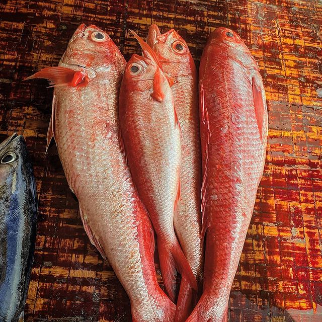Red Snapper - Mombasa Fish Market