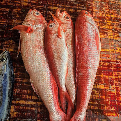 Red Snapper - Mombasa Fish Market