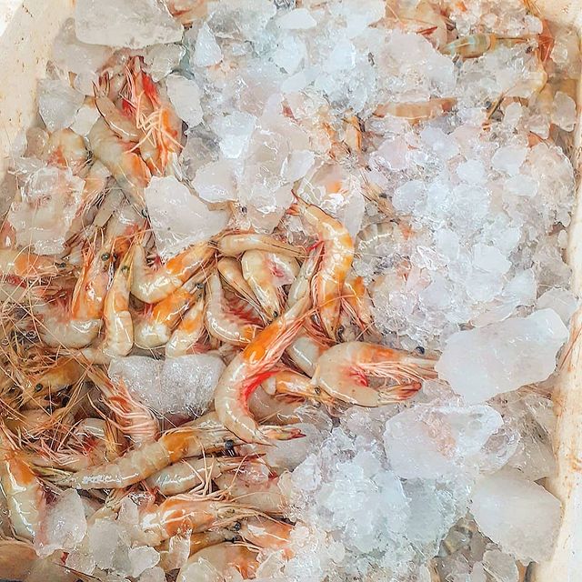 Prawns Cocktail(Shrimps) - Mombasa Fish Market