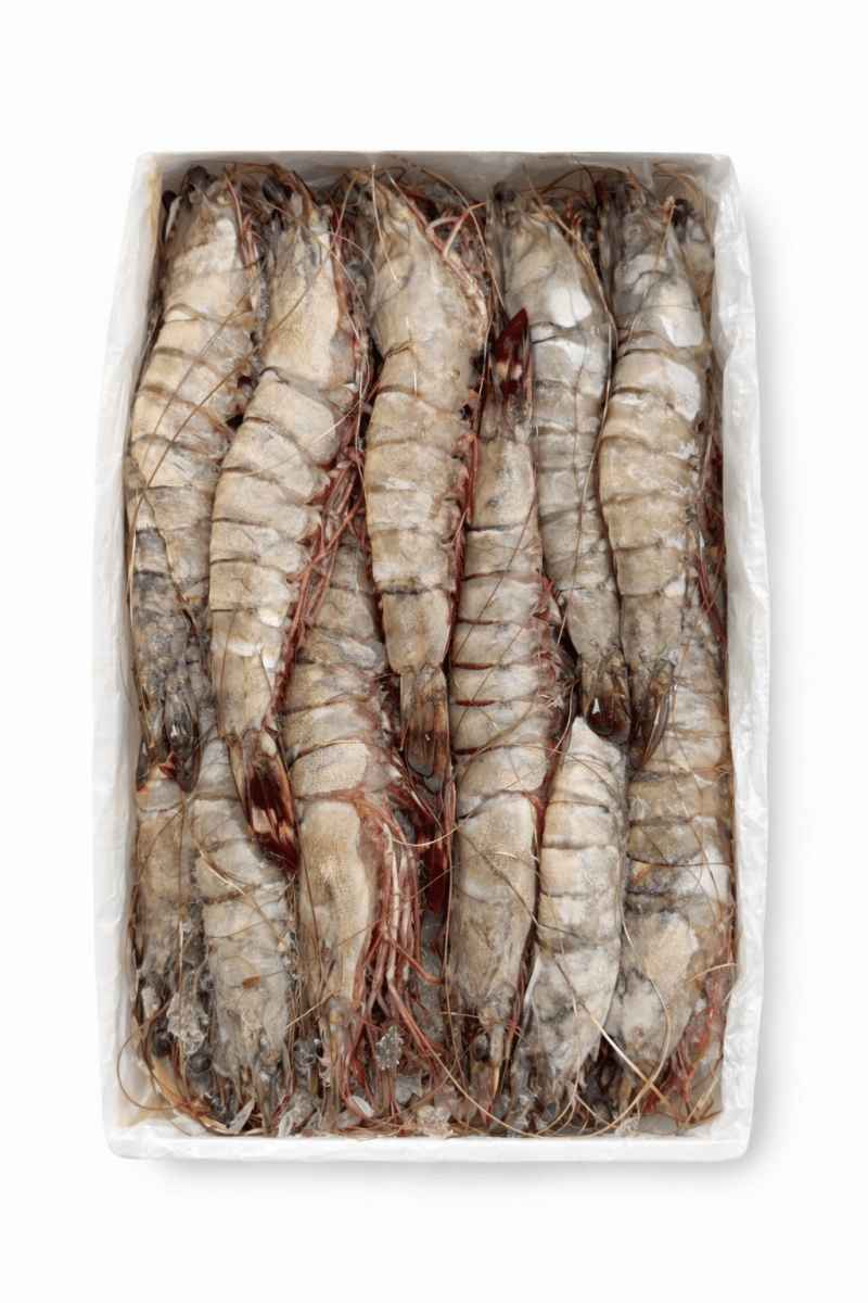 Prawns King - Mombasa Fish Market