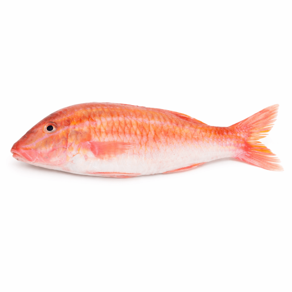 Mkundaji (Red Mullet) - Mombasa Fish Market