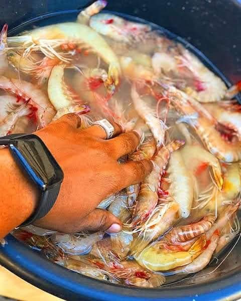 Prawns S1 - Mombasa Fish Market
