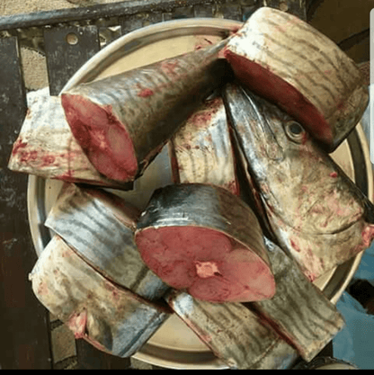 Nguru (King fish) - Mombasa Fish Market