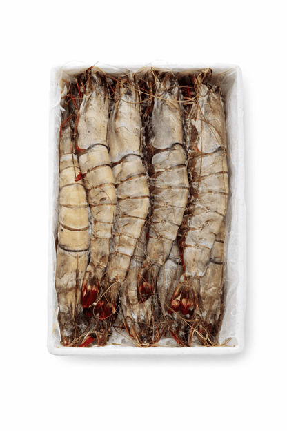 Prawns Jumbo - Mombasa Fish Market