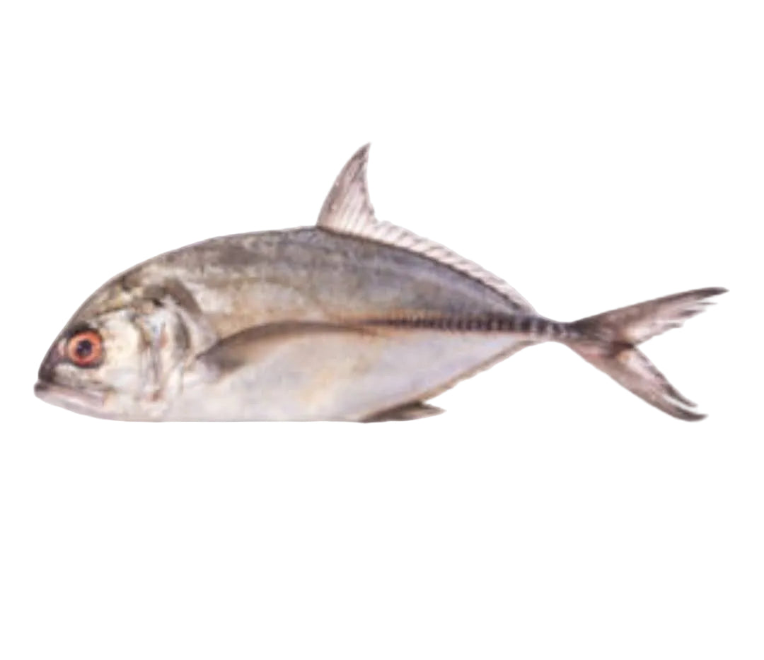 Kolekole (Trevally Fish)
