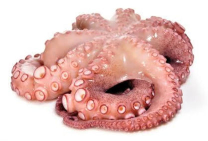 Pweza (Octopus) - Mombasa Fish Market