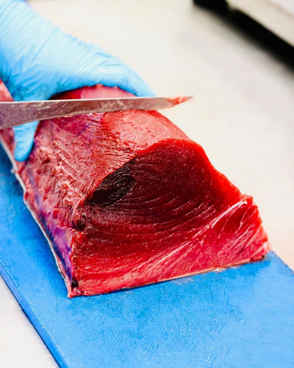 Jodari (Tuna Fish) - Mombasa Fish Market