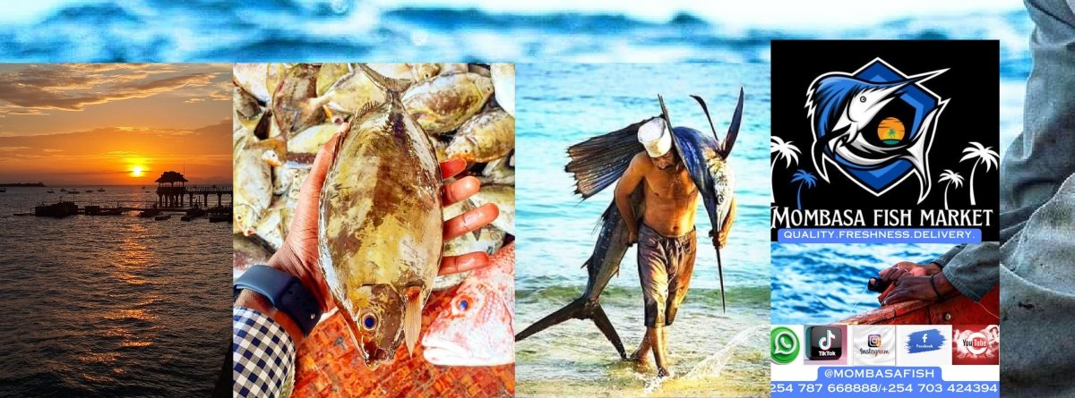 Tip - Mombasa Fish Market