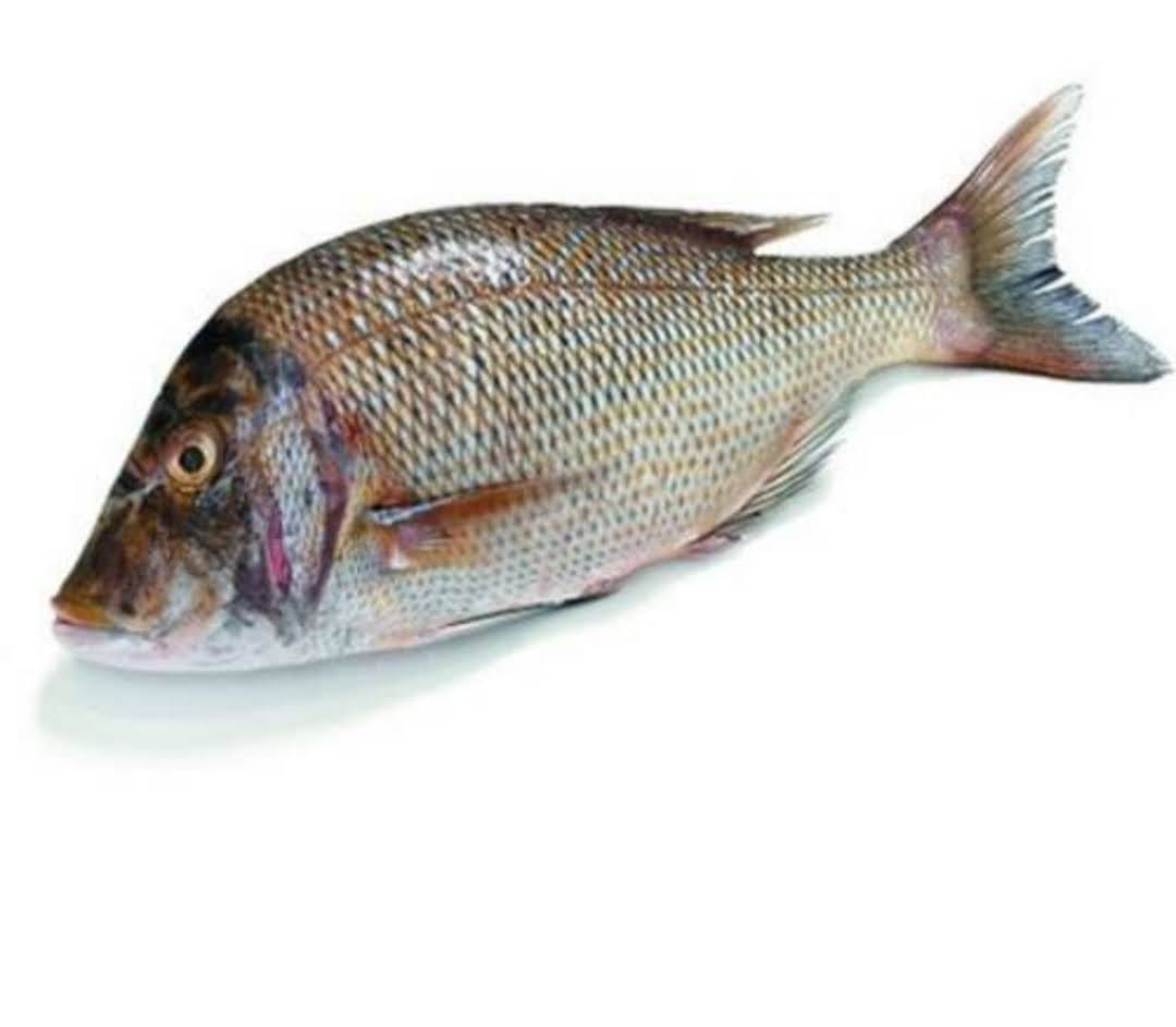 Changu (Emperor fish) - Mombasa Fish Market