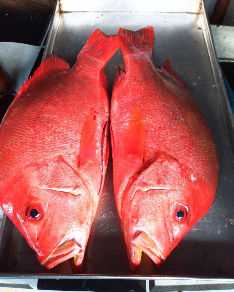 Red Snapper - Mombasa Fish Market
