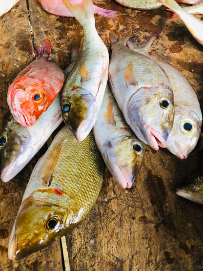 Changu (Emperor fish) - Mombasa Fish Market