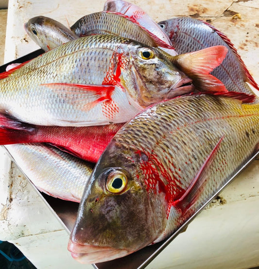 Changu (Emperor fish) - Mombasa Fish Market