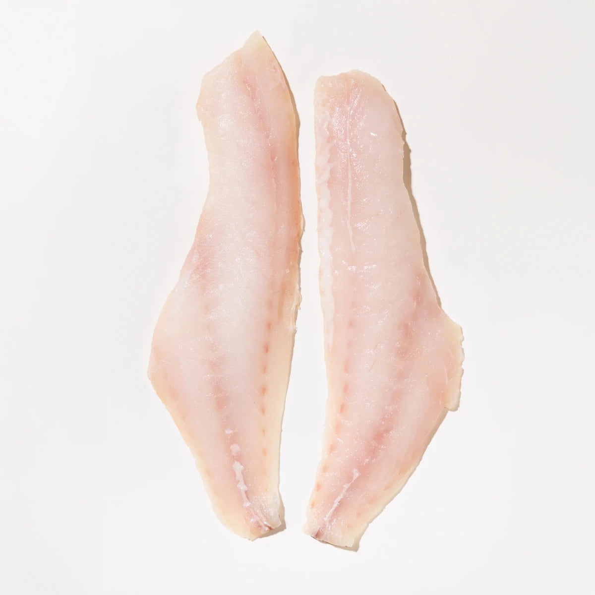 Tewa (Grouper Fish) - Mombasa Fish Market