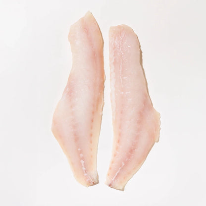 Tewa (Grouper Fish) - Mombasa Fish Market